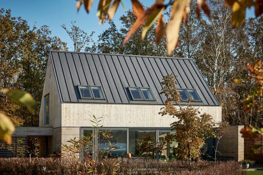 In The Deep Silence of Forest, Silkeborg